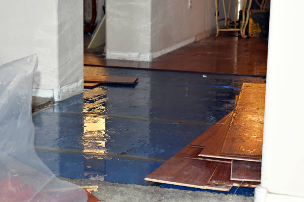 Professional Basement Flood Cleanup technician working in Ashland, NJ